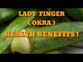 WHY YOU SHOULD EAT LADY'S FINGER ! #OKRA !