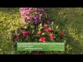 Central Florida Gardening - Flower Trials at Leu Gardens