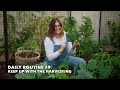 10 Habits for A Successful Garden