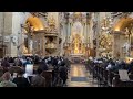 Organ concert in Peterskirche