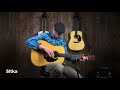 Adirondack VS Sitka Spruce Tops - Martin HD-28 Comparison Video!