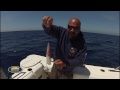 Italian Fishing TV - Lineaeffe - Traina Costiera Tecniche alternative - La Striscetta
