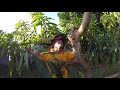 How to Prune a Young Mango Tree in 20 minutes!