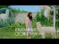 La alpaca peruana, una estrella en los comerciales de la tv japonesa