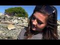 Searching for Exotic Sea Creatures Under Beach Rocks in Canada!