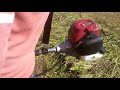 grass cutting machine