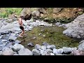 Iao Valley State Park: Best Easy Family Day Hike On Maui - Explore The Lush Iao Valley With Us!