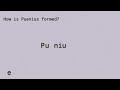 How is Puenius formed?