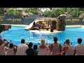 Loro Parque Sea Lion Show 2014 Tenerife