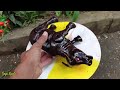 WADIDAU‼️PROSES POTONG SAPI/KUDA , UNTA, KERBAU, GAJAH, ,SAPI JUMBO,SAPI MOO,#123