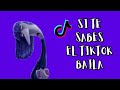 SI TE SABES EL TIKTOK BAILA - 2024