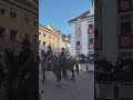 The Parade on Bloody Friday in Weingarten - Blutfreitag in Weigarten, Marbachvoyage, Kinderzug-Pferd