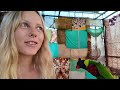 Building a Parrot Aviary + DIY interior | Emilia doing things ep.5