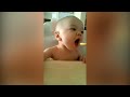 Funny Baby Loves Food | Baby Eating Compilation