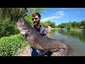 SIGHT FISHING for MONSTER CATFISH!! (CLEAR WATER)