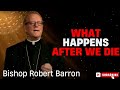 Bishop Robert Barron  |  What happens after we die