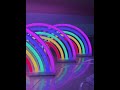 Rainbow LED Neon Lights