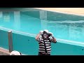 Crop Top | Tom the mime | SeaWorld mime