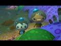 Octonauts: Above & Beyond - 🐧 School Holidays Summer Special! ☀️ | Compilation @OctonautsandFriends​