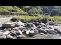 Bolero Crossing River Before Reaching DALIMTAR
