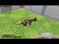 Animal Shelter Simulator: Welcome to Honey Paw Rescue