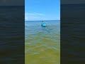 Kayak shrimp boat