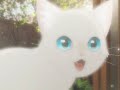 ✦ — 𝐘𝐎𝐔𝐑 𝐄𝐘𝐄𝐒 𝐑𝐄𝐒𝐄𝐌𝐁𝐋𝐄𝐒 𝐀 𝐊𝐈𝐓𝐓𝐘 ! : kitten eyes | subliminal | 🐈