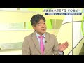 国会議員票367票＋党員・党友票367票で争う過半数 獲らねば決選投票に 自民党総裁選の仕組み