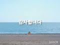 릴리즈미(나를 놓아 주세요)/잉글버트 험퍼딩크/하모니카 동행...