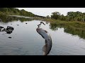 THE KANSAS ANGLER CATFISH ON BOBBER AND A APACHE HELICOPTOR WADING IN THE RIVER FISHING