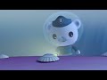 Octonauts - Inside a Whale Shark | Cartoons for Kids | Underwater Sea Education