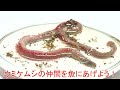 ウミケムシを切ると…ヤバすぎた