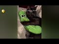 New Funny Animals 2023 😱 Funniest Cats and Dogs 😻😹 Part38