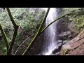 2017 tehan falls