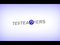 TesTeachers Sample