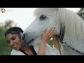 🐎🐎🐎 Relaxing Horse Music | Relaxing Music Horse Background | Horses Running | Horses Sounds 🐎🐎🐎