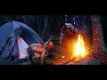 Solo camping in heavy rain with my dog