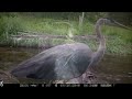 Pennsylvania man captures all walks of life crossing log bridge