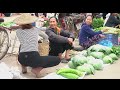 Harvest Cassava in Garden for Process and Preservation, Recipe Making Corn Milk Sold in the Market