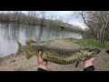 french creek muskie april 2021