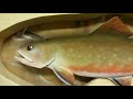 Airbrushing A Chainsaw Carved Brook Trout!