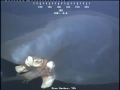 REAL KAIJU MONSTER CAUGHT BY PETROBRAS´ SUBMARINE ROBOT MUST SEE REAL FOOTAGE !!!!