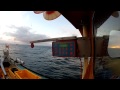 GoPro Underwater Mackerel Fishing.