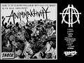 Animalaktivity - SHOCK (2022)