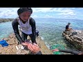 Natuklasang Isla Ng tres Maria's Ganito ka daming Isda!