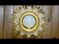 Adoración al Santísimo en vivo / Live Adoration of the Blessed Sacrament