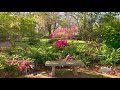 Leu Gardens | Orlando Secrets