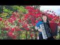 장미 - Accordion 아코디언 연주, 군포 안양 아코디언 (사월과 오월)