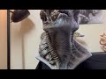 Custom Alien Covenant Mutated Neomorph - Davids Lab - 1/2 scale bust statue review - Crisisestudio