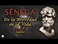 Séneca - De la Brevedad de la Vida (Audiolibro Completo en Español) 